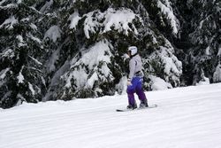 Alta Val Badia (146), Claudia R (45), Sci Alpino (290)